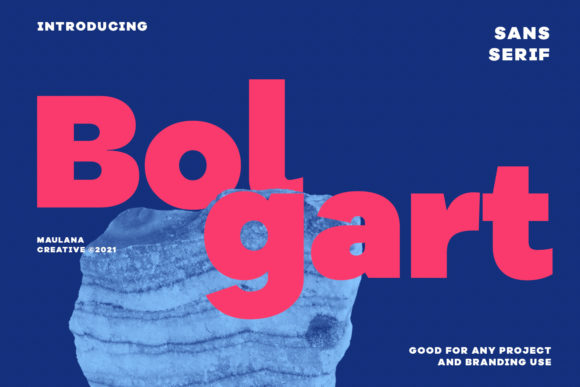 Bring Your Designs to Life with Bolgart Font
