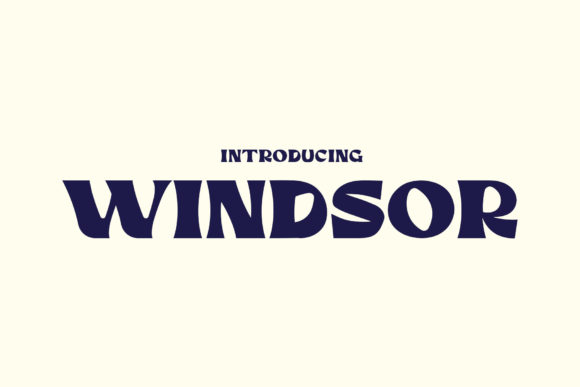 Windsor: A Groovy Display Font for Your Business